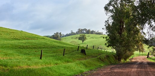 DonnyBrook-418.jpg