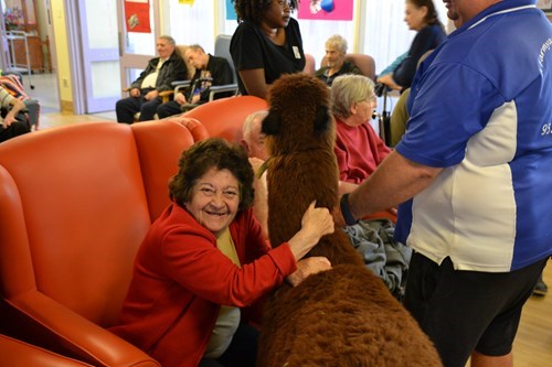 Hamersley Aged Care Home