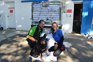 Hall & Prior Fresh Fields Hospitality Shenton Park dog rescue
