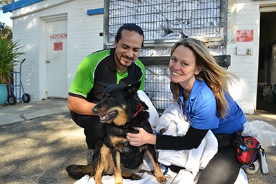 Hall & Prior Fresh Fields Hospitality Shenton Park dog rescue