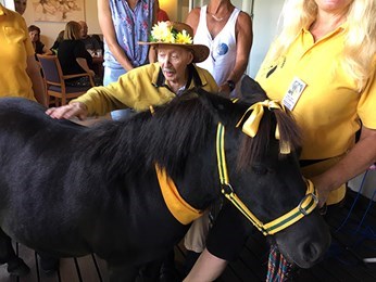 Hall & Prior Menaville Aged Care Home activity